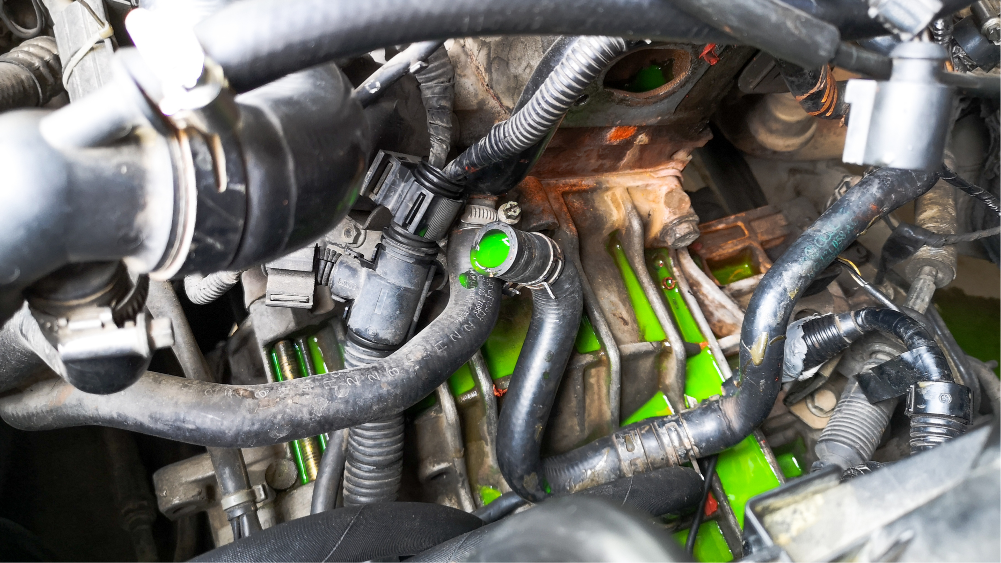 Coolant Leak Explained: Causes, and How to Prevent It